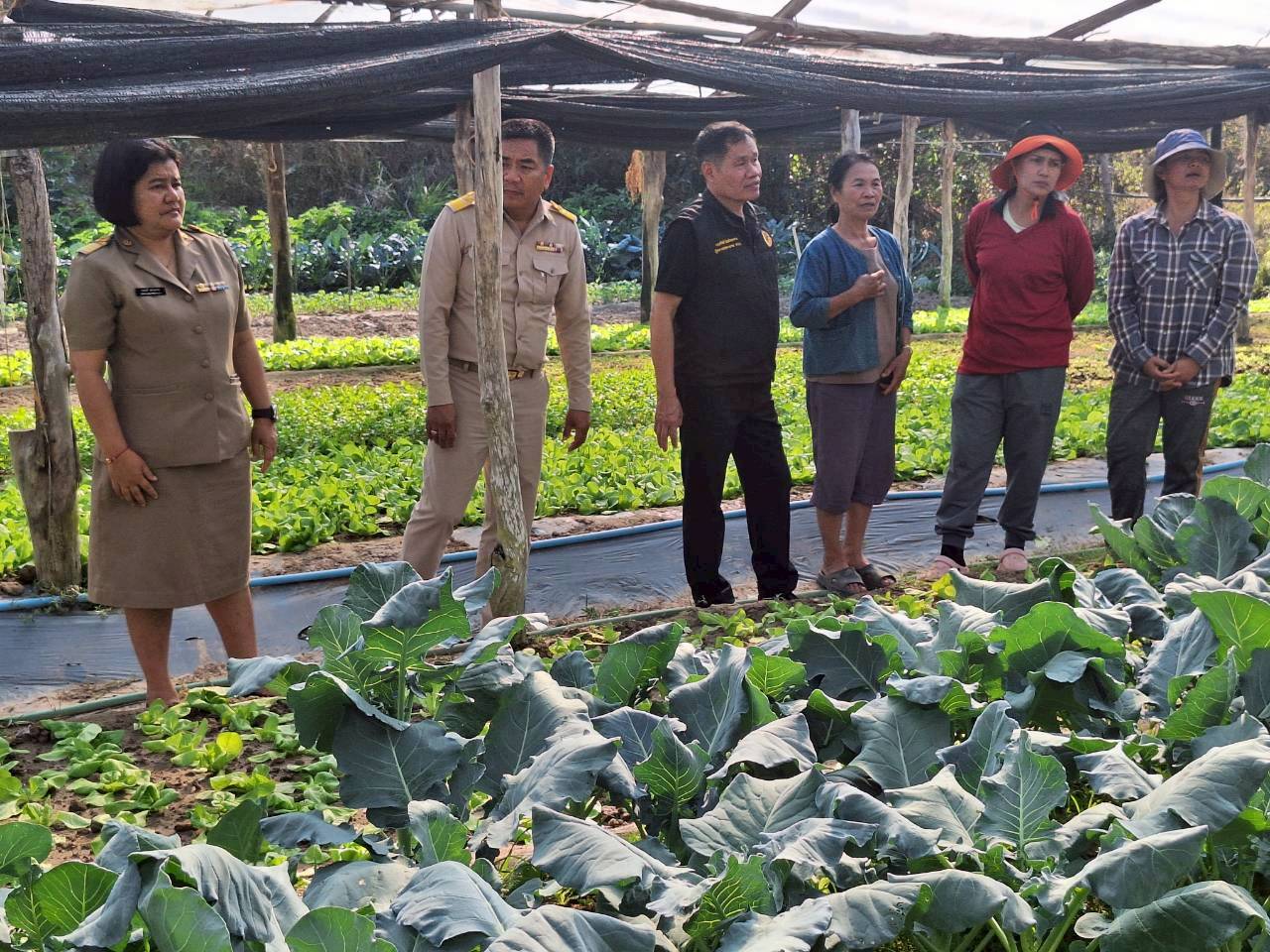 title - ผู้ตรวจราชการ ส.ป.ก. ประชุมตรวจราชการและติดตามความก้าวหน้าผลการดำเนินงานตามแผนการตรวจราชการของผู้ตรวจราชการสำนักงานการปฏิรูปที่ดินเพื่อเกษตรกรรม ประจำปีงบประมาณ พ.ศ. 2569 รอบที่ 1 เขตตรวจราชการที่ 11 จังหวัดนครพนม